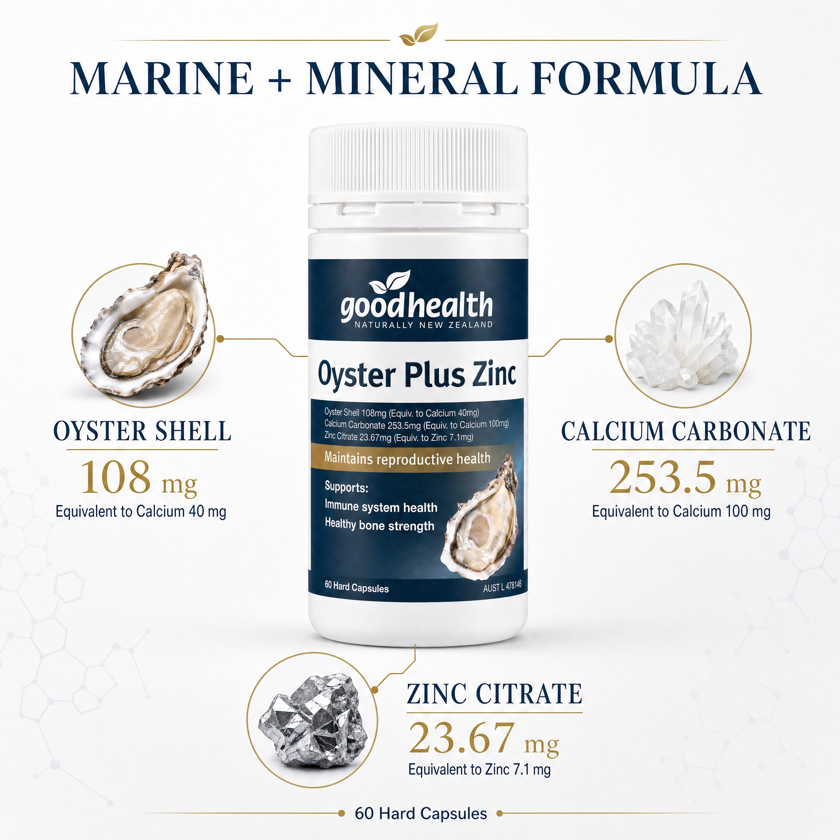 Good Health Oyster Plus Zinc 60 Capsules – Oyster Calcium and Zinc Formula